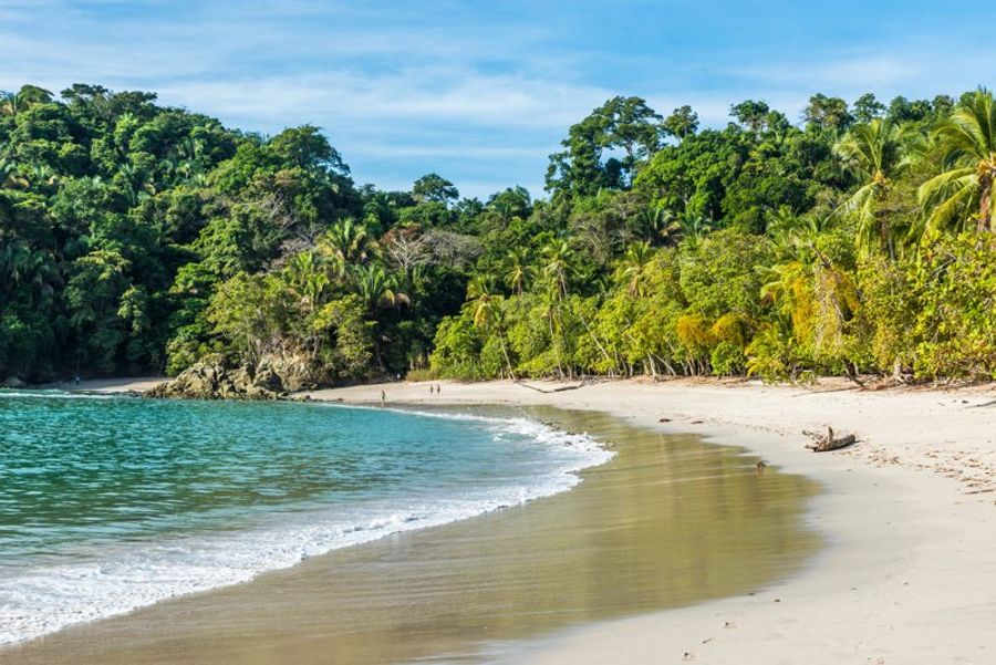 Plage pittoresque et jungle verdoyante au parc national Manuel Antonio.