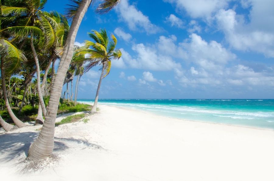 Sublime plage de Tulum à faire
