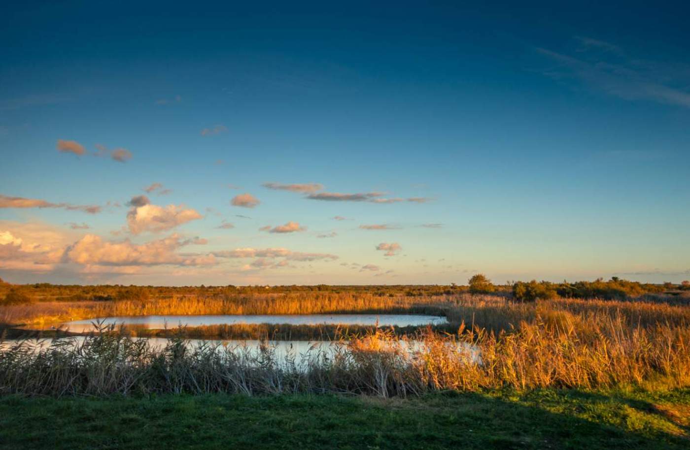 Les plus beaux moments à s'offrir en fin de journée sur l'Île de Ré