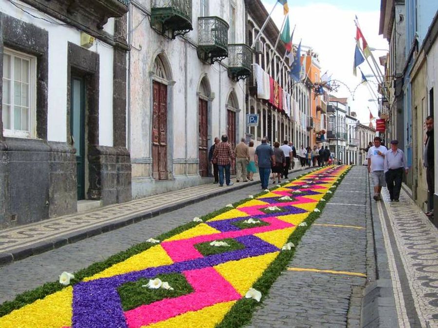 Rue décorée de fleurs à Ponta Delgada, São Miguel, Açores.