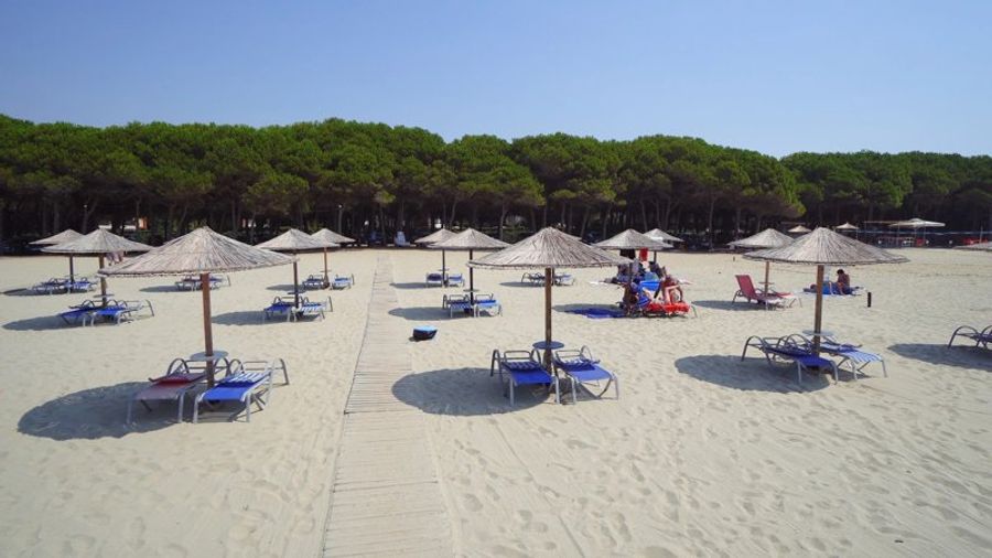 Plage de Durrës avec des transats et parasols alignés devant une forêt de pins.