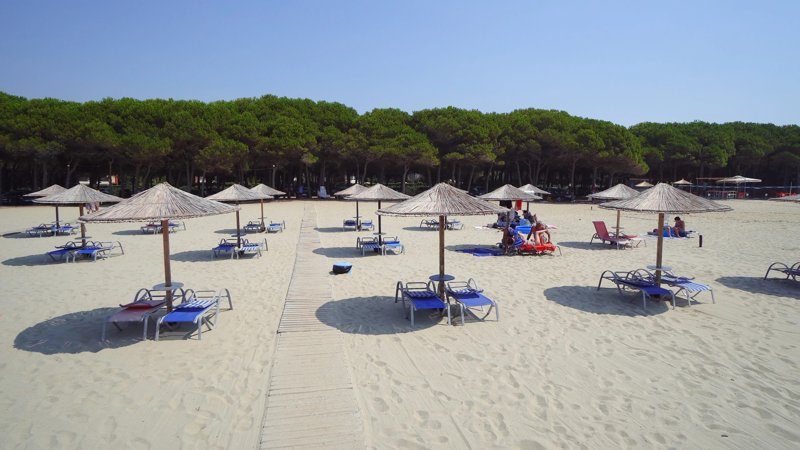 Plage de Durrës avec des transats et parasols alignés devant une forêt de pins.