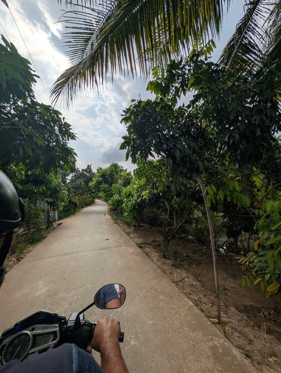 Balade en scooter sur une route bordée de vergers tropicaux à An Binh, Vinh Long.