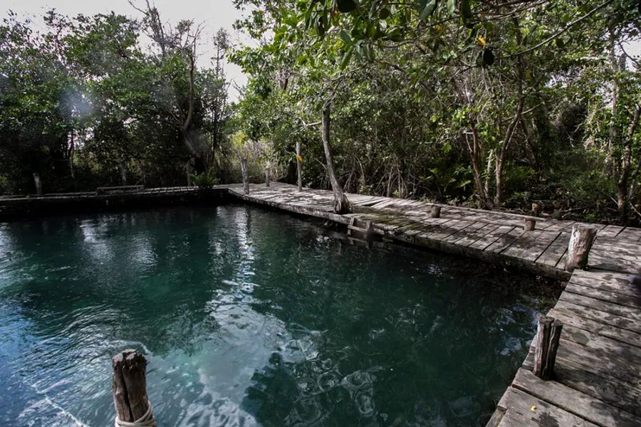 Le cenote Yalahau entouré de végétation dense, avec ses eaux claires et paisibles, est accessible via un ponton en bois.