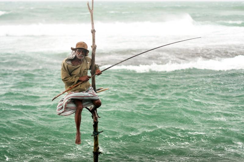 Pêcheur traditionnel sur piquet en bord de mer à Galle, Sri Lanka
