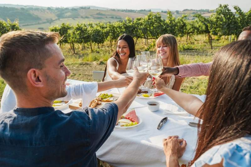 Des amis en train de prendre un apéro dans les vignes
