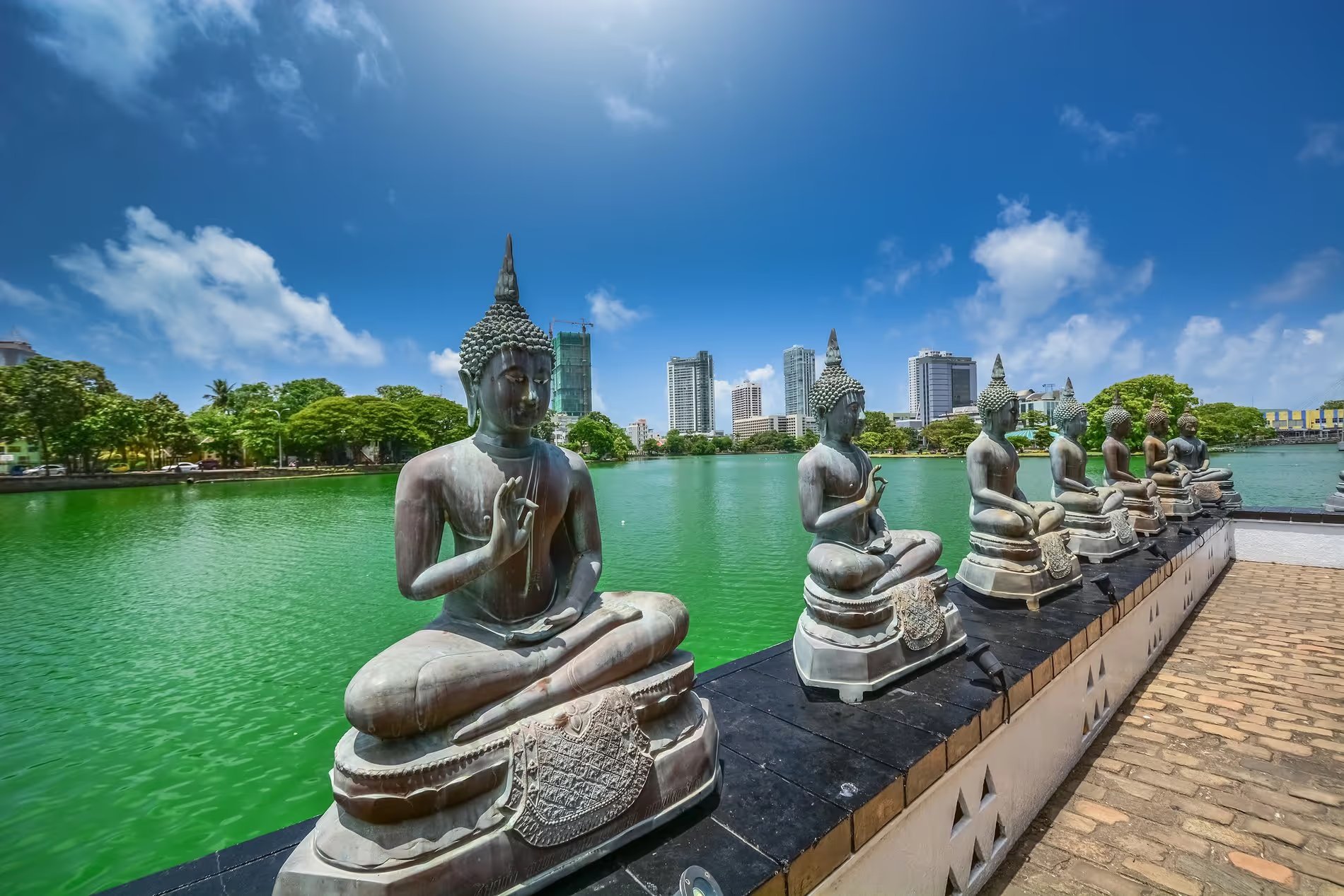 Statues de Bouddha alignées au temple Gangaramaya à Colombo, avec vue sur Beira Lake.