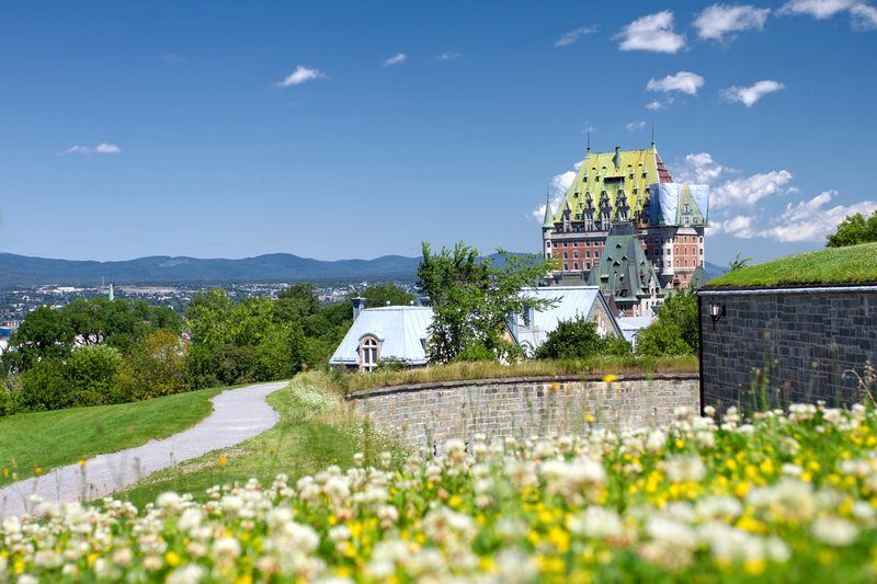 Vue paisible sur le château Frontenac entouré de verdure, avec un chemin sinueux et des fleurs sauvages au premier plan sous un ciel bleu éclatant à Québec.