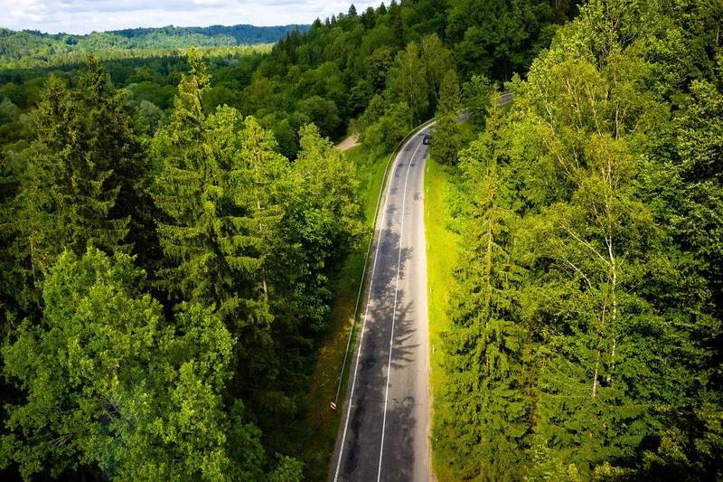 Vue aérienne d'une route sinueuse traversant une forêt verdoyante lors d'un road trip en été