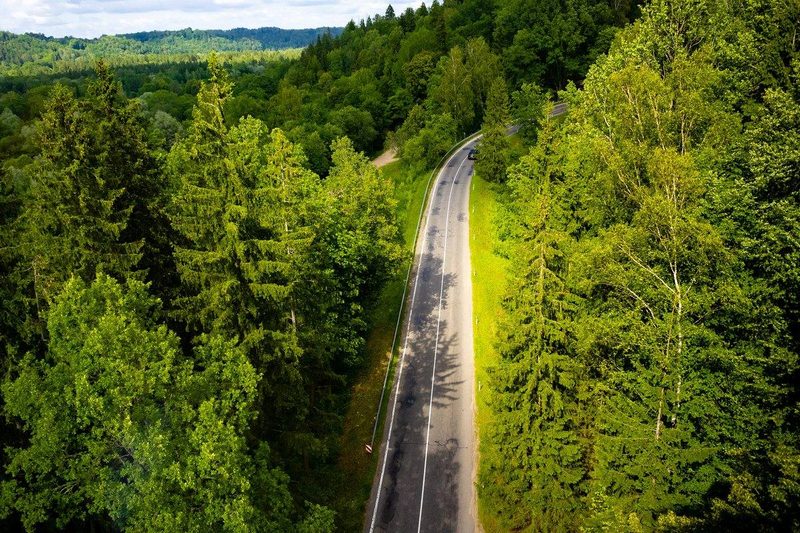 Vue aérienne d'une route sinueuse traversant une forêt verdoyante lors d'un road trip en été