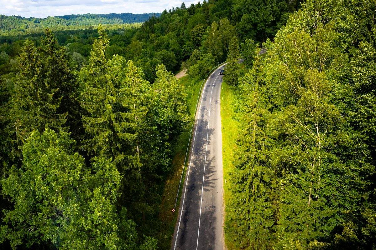 Vue aérienne d'une route sinueuse traversant une forêt verdoyante lors d'un road trip en été