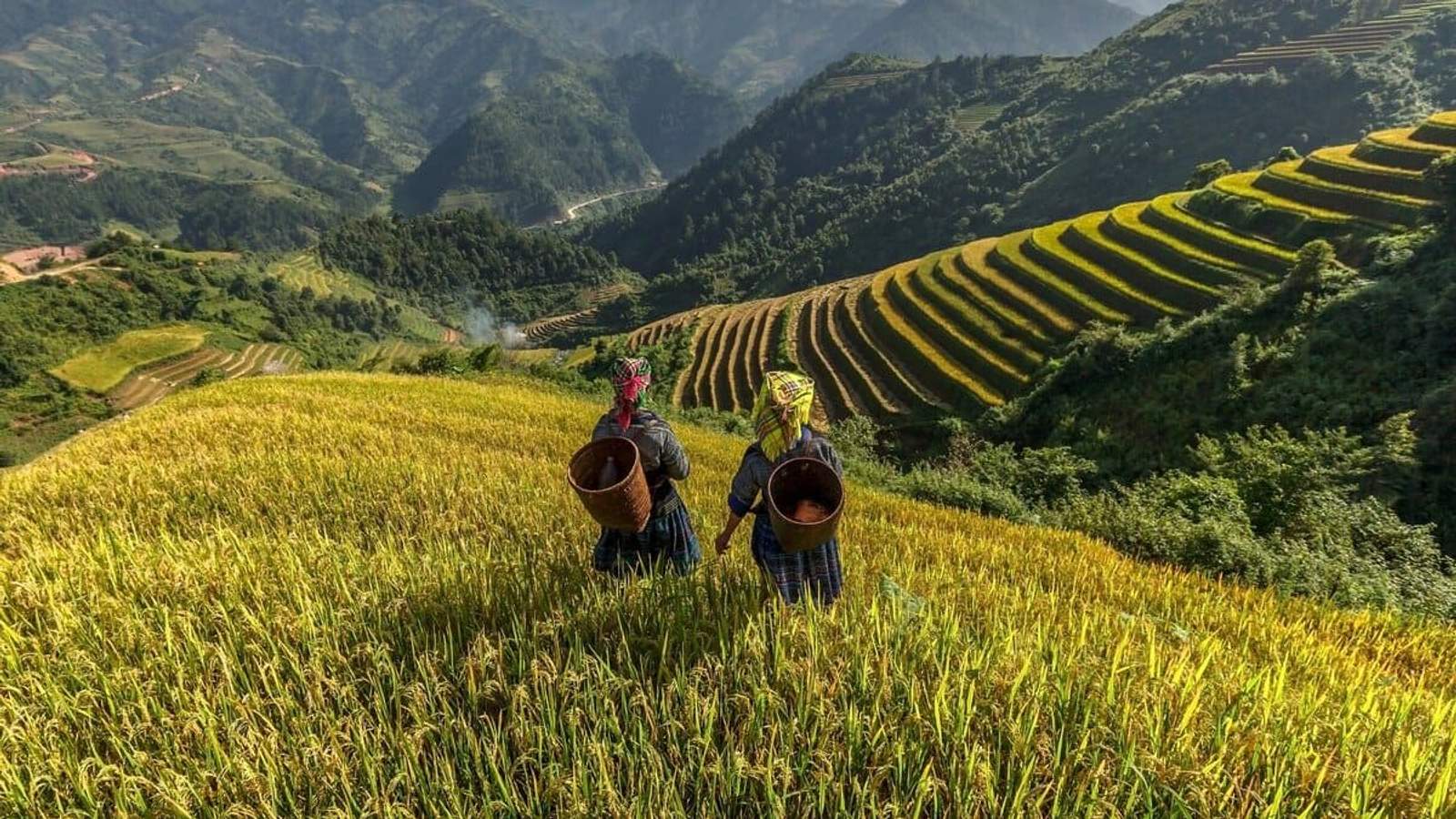 Deux femmes en habits traditionnels marchant dans des rizières en terrasses au Vietnam, entourées de montagnes verdoyantes sous un ciel nuageux.