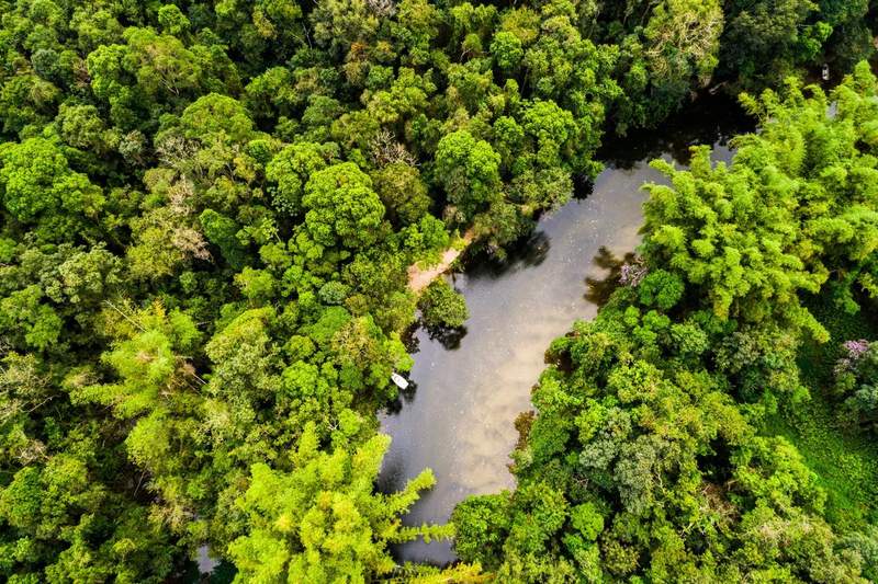 Vue aérienne d'une rivière entourée de forêt amazonienne en Guyane