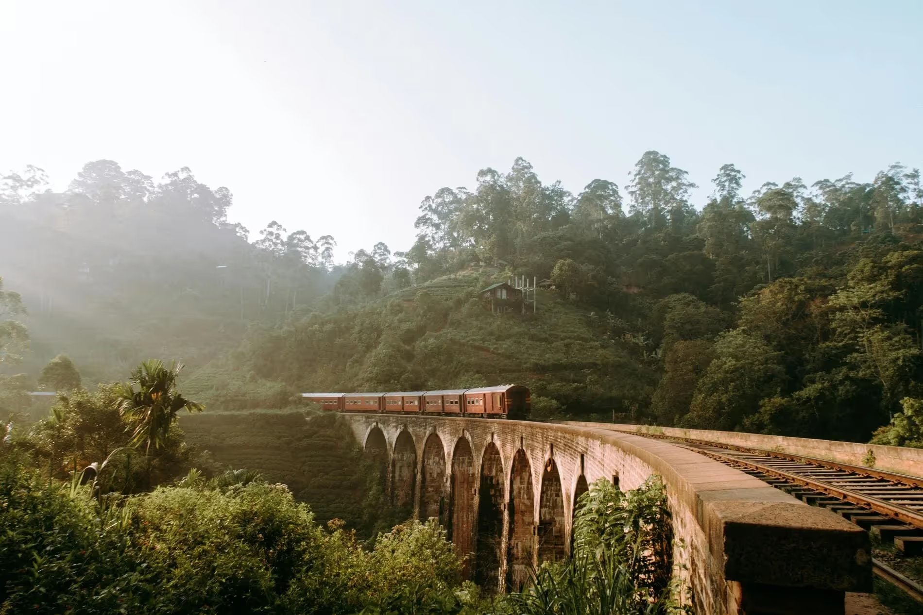 Un train au milieu des montagnes au Sri Lanka