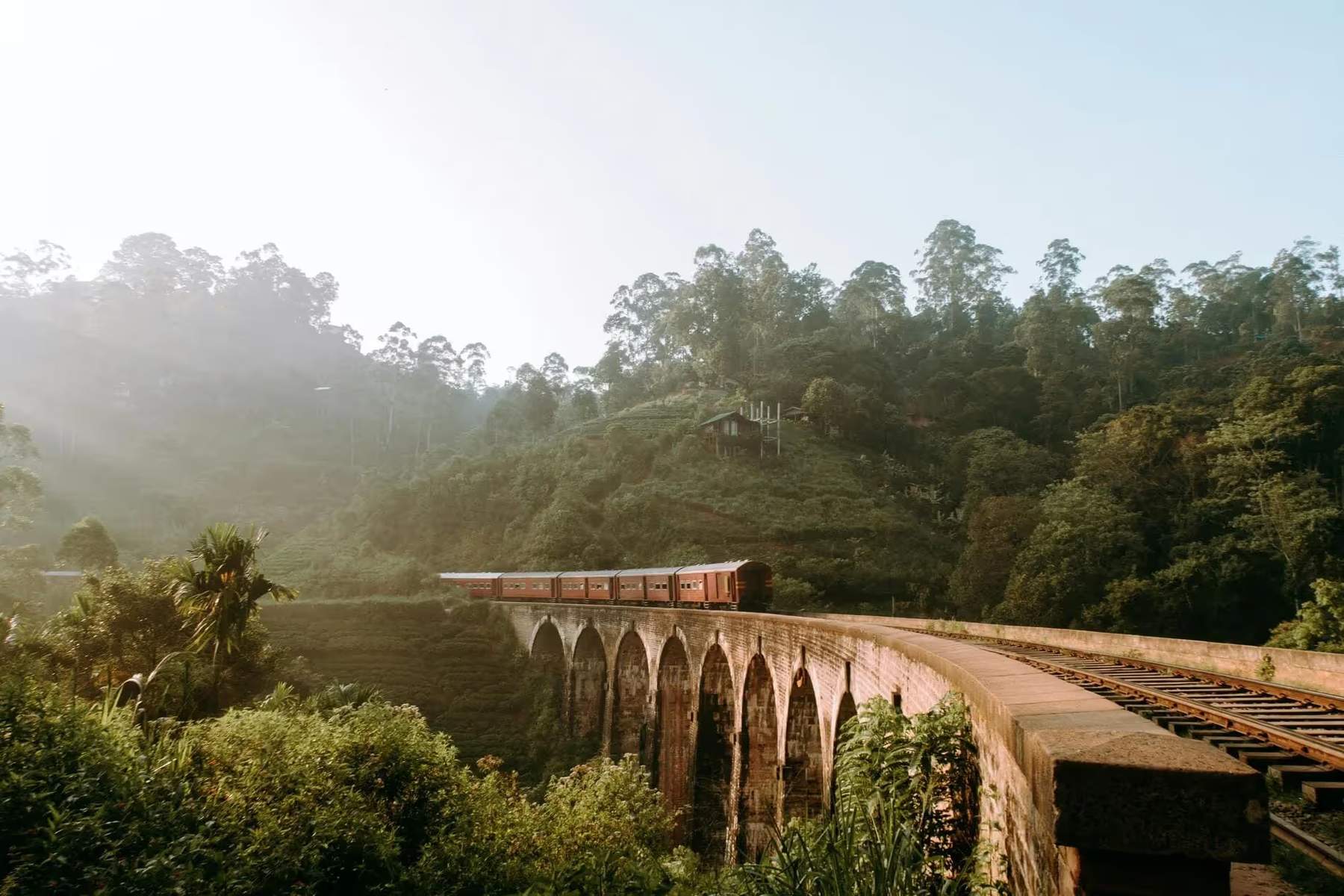 Un train au milieu des montagnes au Sri Lanka