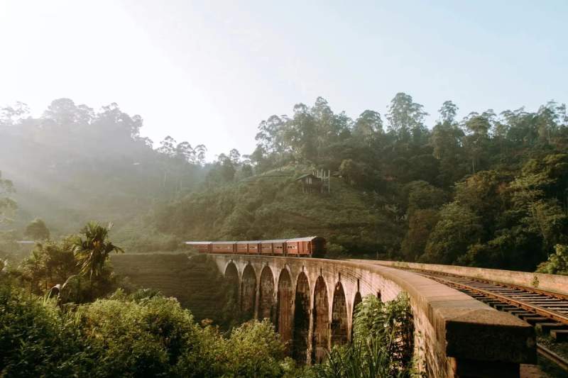 Un train au milieu des montagnes au Sri Lanka