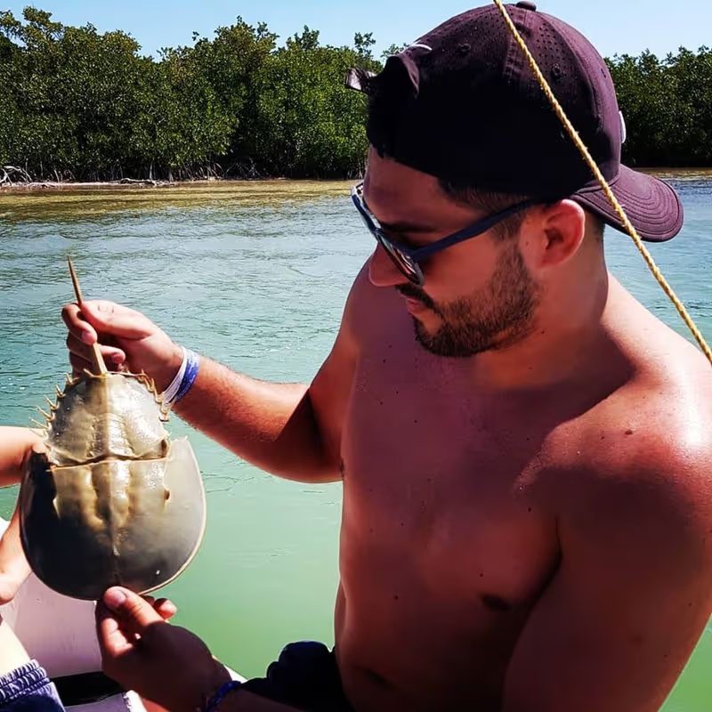Rencontre avec une Limule à Rio Lagartos lors de notre Road trip au Yucatan de 2 semaines