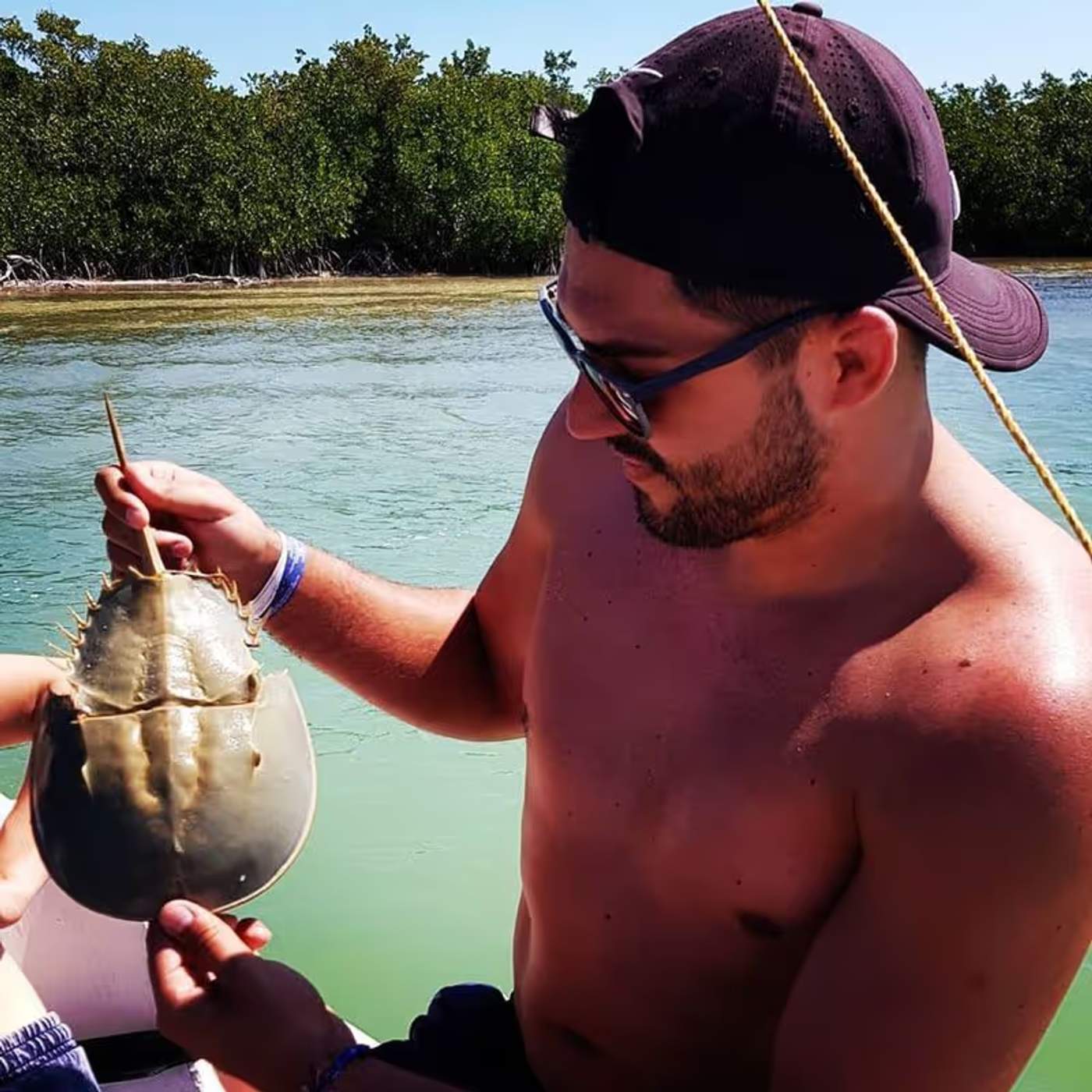 Rencontre avec une Limule à Rio Lagartos lors de notre Road trip au Yucatan de 2 semaines
