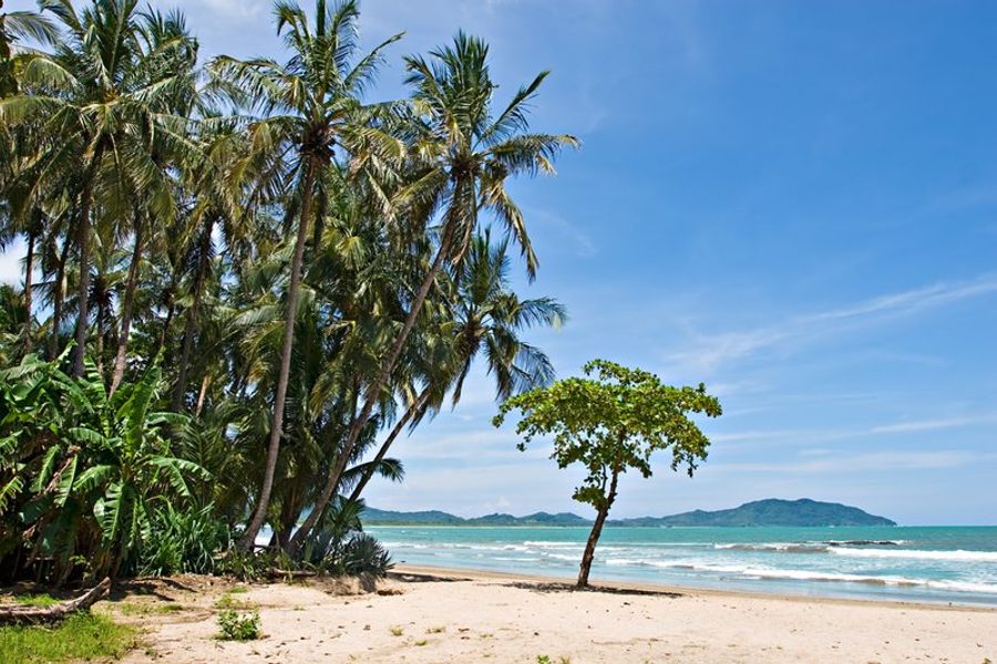 Plage tropicale avec des palmiers et vue sur l