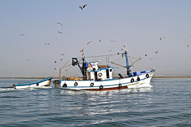 Un bateau de pêche naviguant sur l