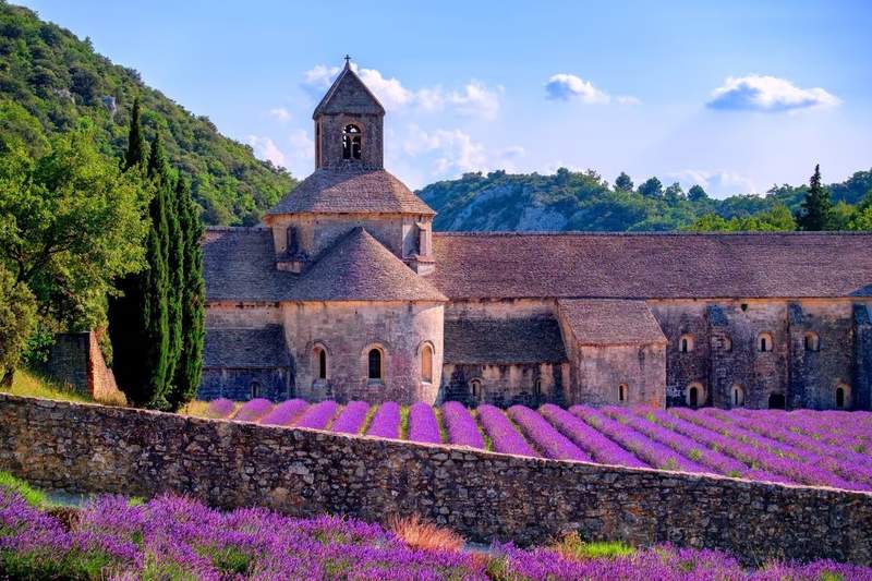 L'abbaye de Sénanque entourée de champs de lavande en fleur dans le Luberon : Vaucluse, Provence, road trip 3 jours.