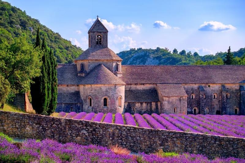 L'abbaye de Sénanque entourée de champs de lavande en fleur dans le Luberon : Vaucluse, Provence, road trip 3 jours.