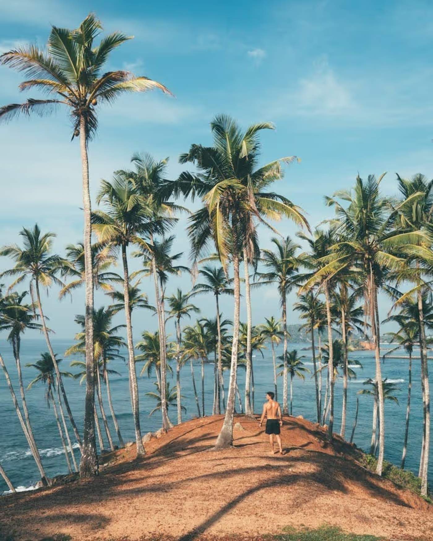 Plage de Mirissa entourée de cocotiers, sur la côte sud du Sri Lanka.