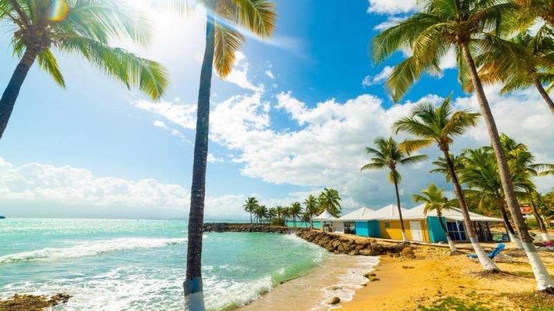 Plage ensoleillée avec des palmiers et des maisons colorées en bord de mer en Guadeloupe.