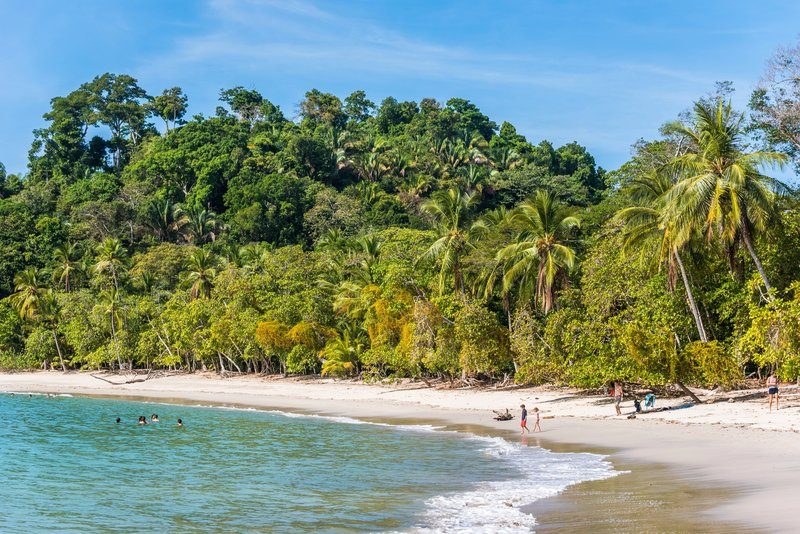 Vue panoramique sur une plage de Manuel Antonio, entourée de palmiers et de végétation luxuriante.
