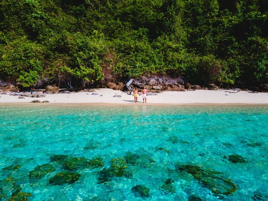 Plage isolée avec un sable blanc immaculé et une mer turquoise, bordée par une jungle luxuriante.