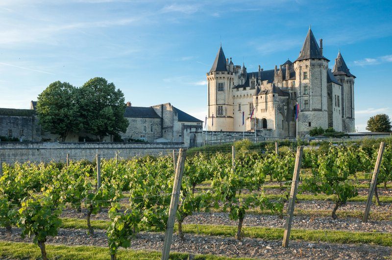 Château de la Loire entouré de vignes au soleil couchant.