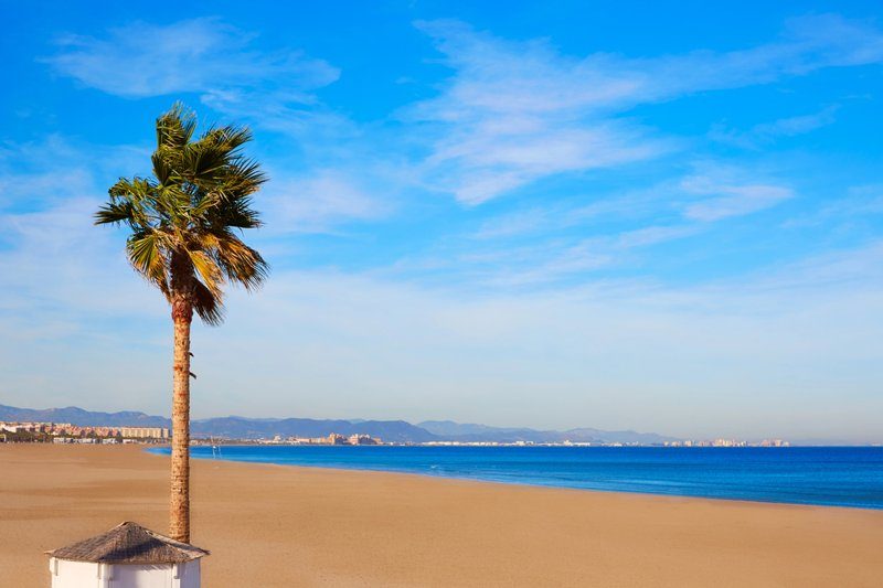 Plage de sable fin de la Malvarrosa à Valence, avec un palmier au premier plan et une mer bleu turquoise sous un ciel dégagé.