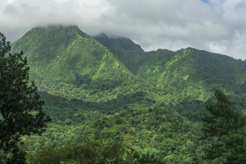 Vue verdoyante de la Montagne Pelée en Martinique, couverte de forêt tropicale luxuriante sous un ciel partiellement nuageux.
