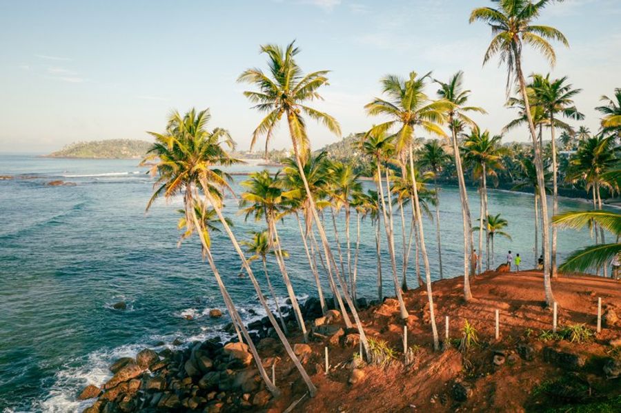  Colline emblématique de Coconut Tree Hill à Mirissa, recouverte de hauts palmiers penchés sur un sol rouge, avec une vue imprenable sur l