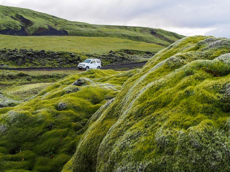 4x4 blanc sur une piste de gravier en Islande traversant un immense champ de mousse volcanique verte