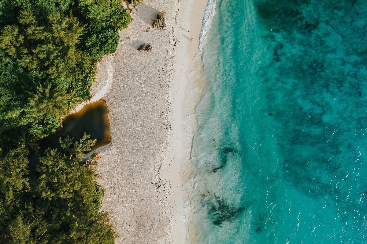 Vue aérienne sur plage paradisiaque
