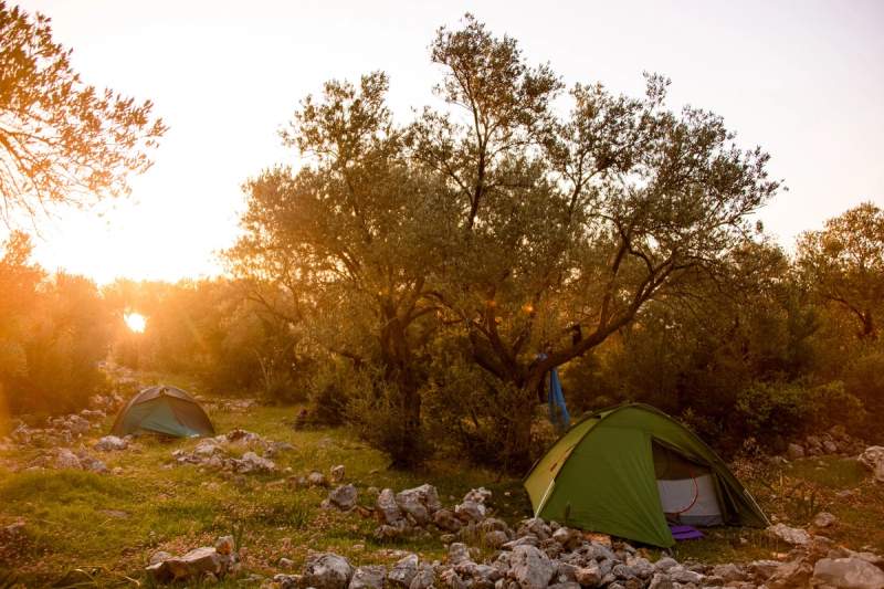Tentes de camping installées en pleine nature provençale au coucher du soleil, entourées d'arbres et de rochers.