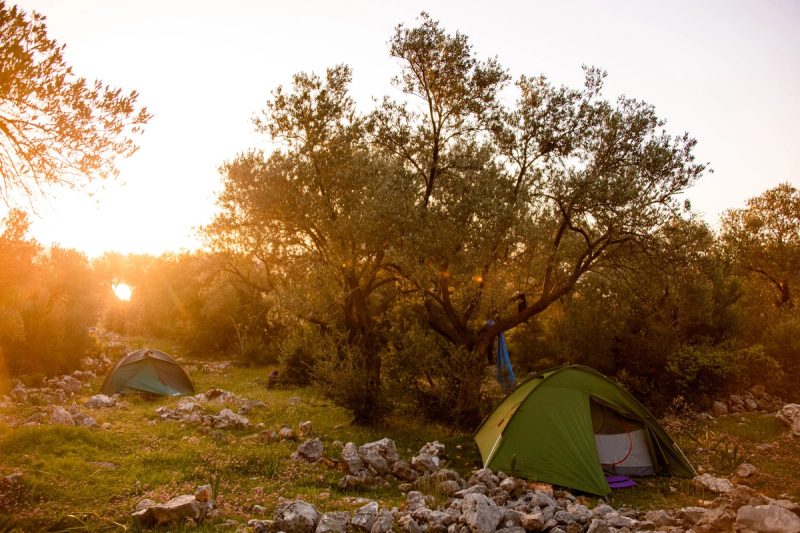 Tentes de camping installées en pleine nature provençale au coucher du soleil, entourées d'arbres et de rochers.