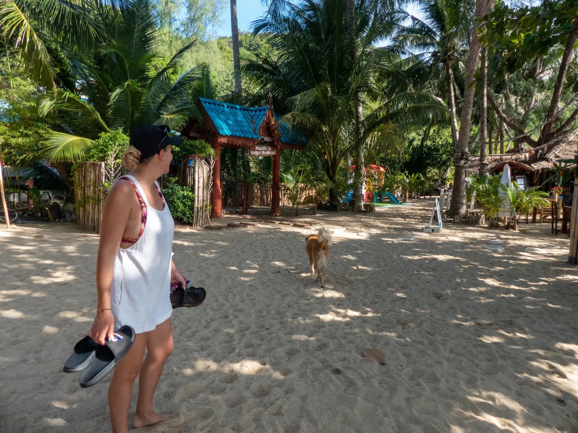 Maud regardant un chien se promenant sur le sable au milieu des palmiers à Koh Phangan