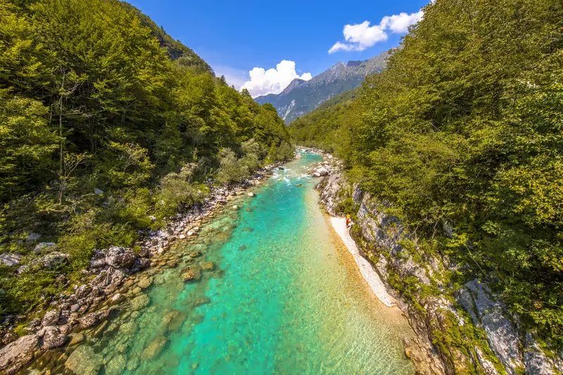 Soča · la rivière turquoise entre les forêts de Bovec