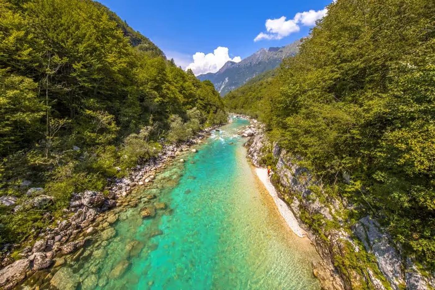 Soča · la rivière turquoise entre les forêts de Bovec