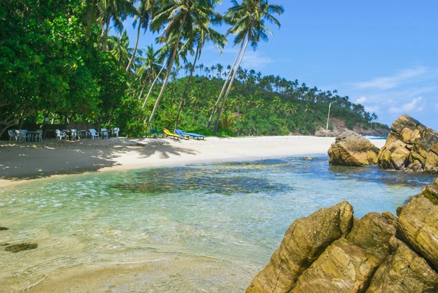 Plage de sable fin et eau cristalline bordée de cocotiers, avec quelques transats et une table en bois à l’ombre d’un arbre à Secret Beach, Mirissa.