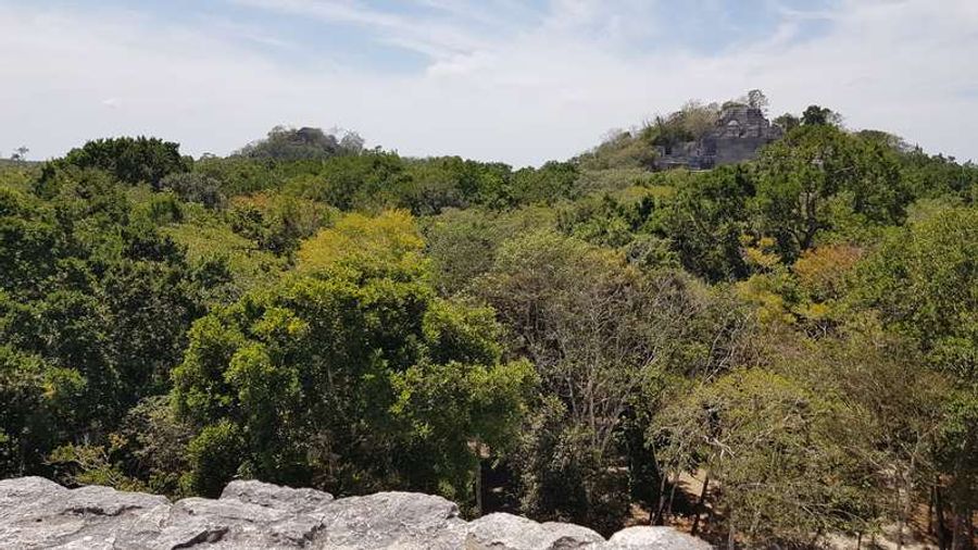 Une pyramide maya en pierre grise, partiellement recouverte de végétation, dominant la jungle dense de Calakmul