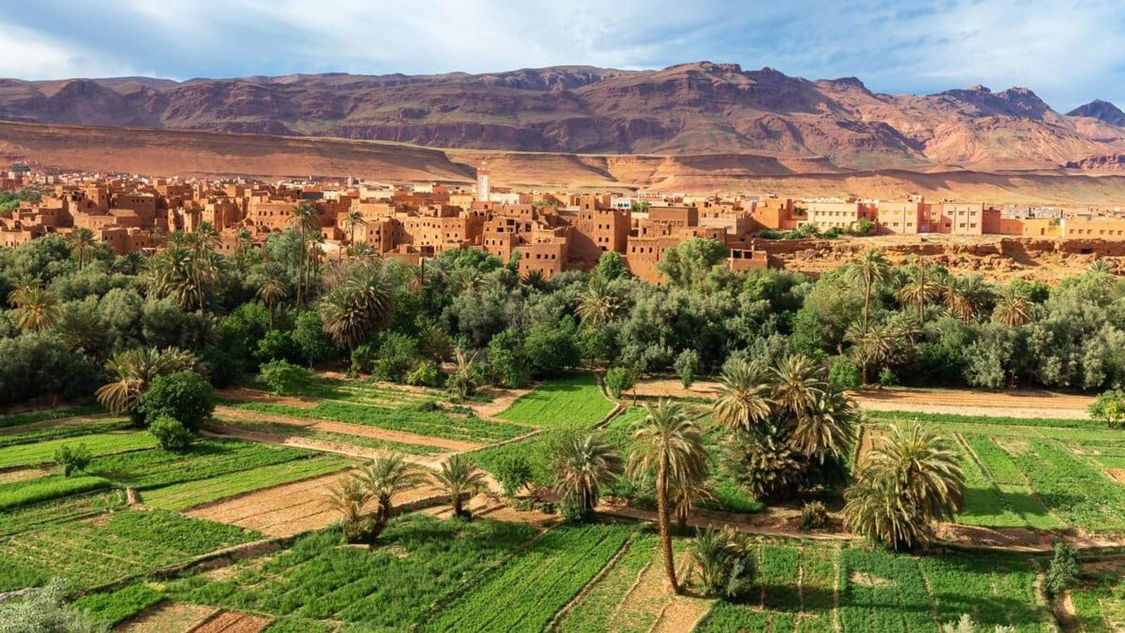 Vue panoramique de la vallée du Dadès au Maroc, avec palmeraie verdoyante et maisons en pisé au pied des montagnes arides