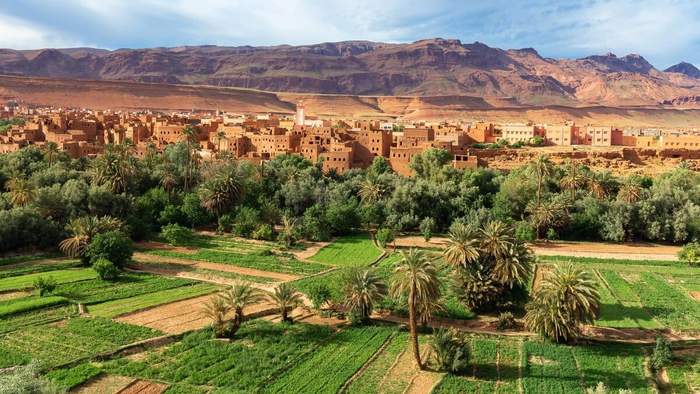 Vue panoramique de la vallée du Dadès au Maroc, avec palmeraie verdoyante et maisons en pisé au pied des montagnes arides