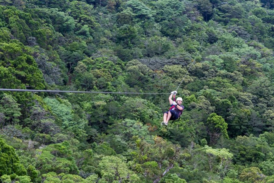 Aventure en tyrolienne à travers la forêt tropicale luxuriante près de Jaco, Costa Rica