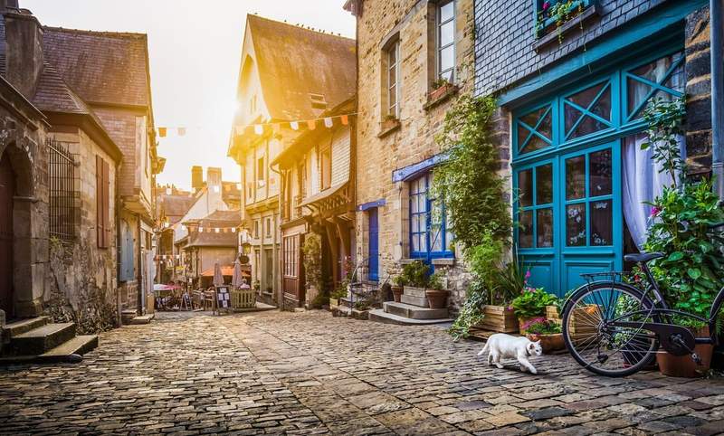 Ruelle pavée pittoresque d’un village médiéval en France avec maisons à colombages, plantes fleuries et chat blanc au petit matin.