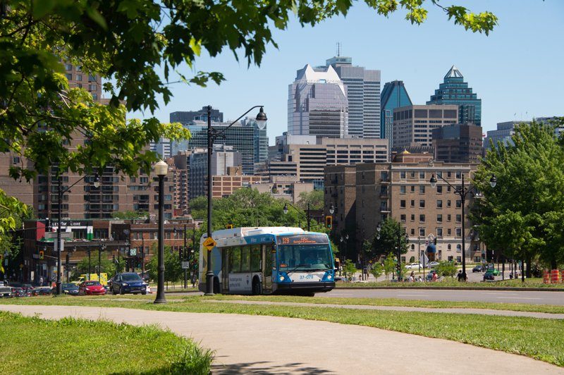 Bus en circulation dans le centre-ville de Montréal, entouré de gratte-ciels et d