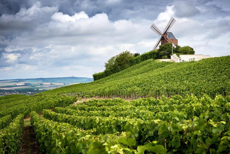 Vignoble vallonné de Bourgogne avec un moulin traditionnel sous un ciel nuageux.