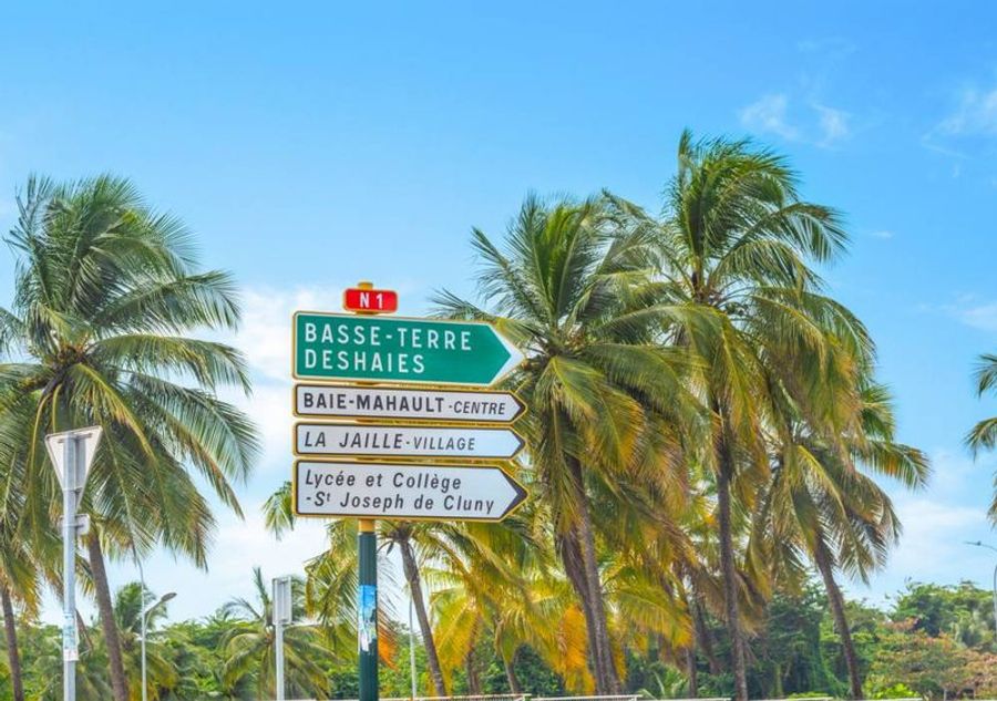 Panneau de signalisation routière indiquant Basse-Terre et Deshaies en Guadeloupe, entouré de palmiers sous un ciel bleu
